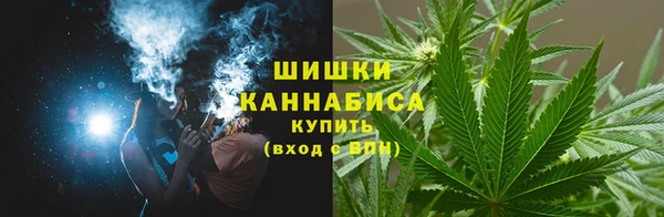 молекула духа Богданович