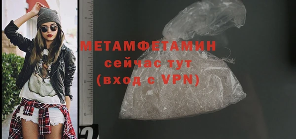 молекула духа Богданович