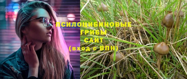 молекула духа Богданович