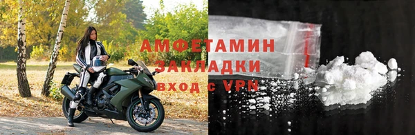 молекула духа Богданович