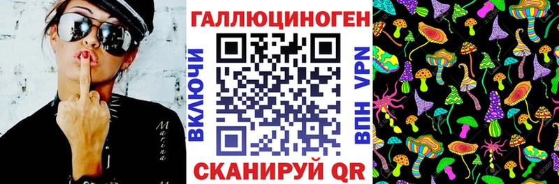 Псилоцибиновые грибы Psilocybine cubensis  где найти   Катав-Ивановск 
